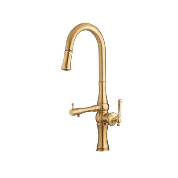 ظرفشويي دومنظوره البرز روز شاوري لوانته طلامات