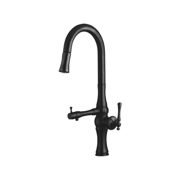 ظرفشويي دومنظوره شاوري البرز روز لوانته مشكي