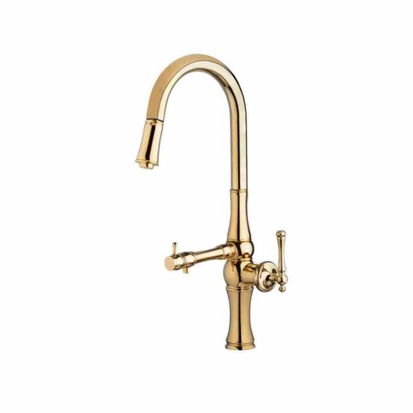 ظرفشويي دومنظوره البرز روز شاوري لوانته طلايي